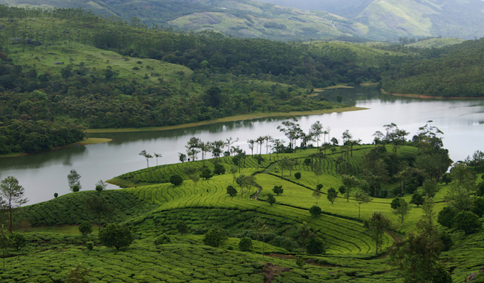 Magical Munnar